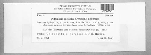 Fusicladiella melaena image